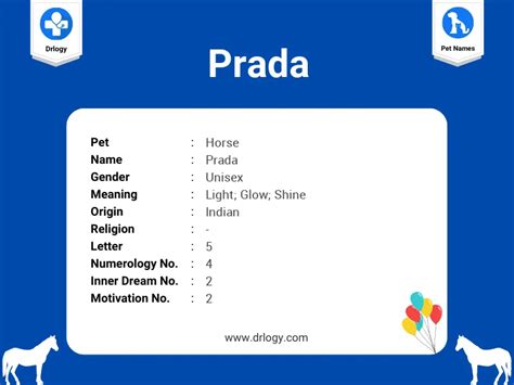 what is the meaning of prada in english|prada from which country.